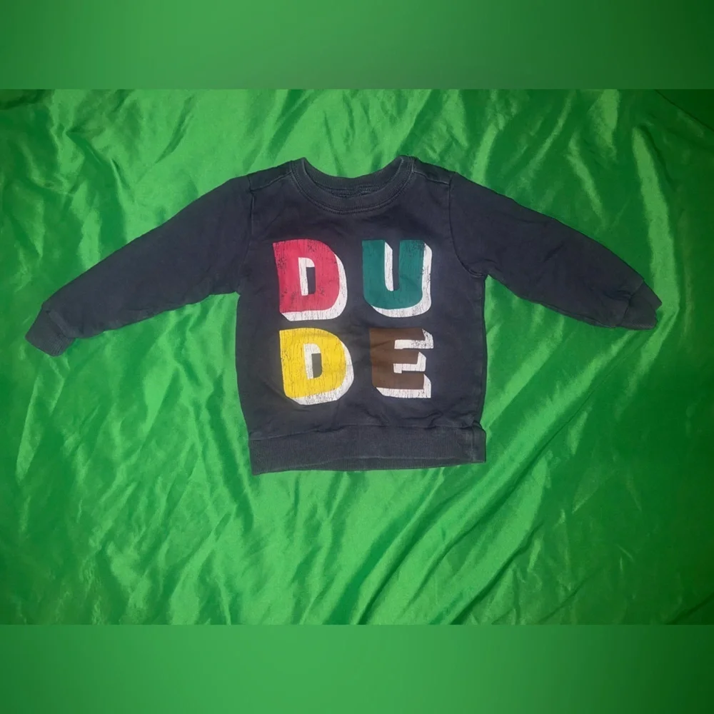 Carter's Blue/ Gray DUDE Graphic Pullover Sweatshirt size 2T